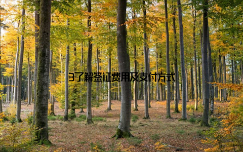 3了解签证费用及支付方式