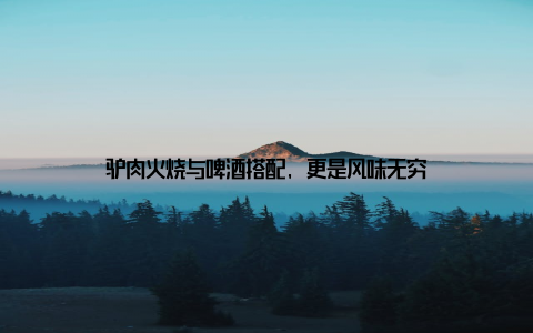 驴肉火烧与啤酒搭配, 更是风味无穷