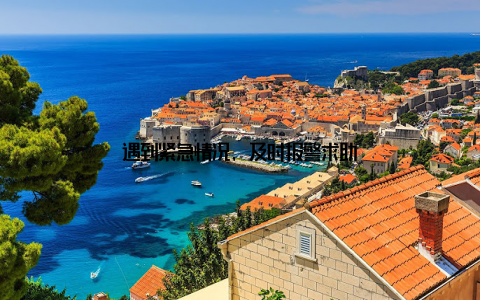 遇到紧急情况, 及时报警求助