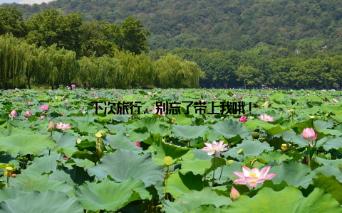 下次旅行, 别忘了带上我哦!