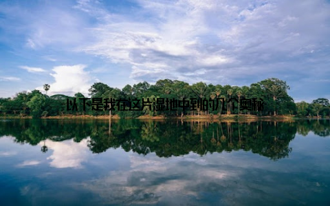 以下是我在这片湿地中到的几个奥秘