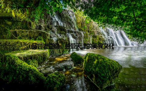 品尝老豆腐, 感受天津的美食文化