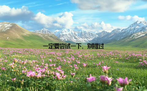 一定要尝试一下, 别错过