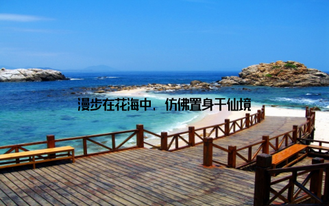 漫步在花海中, 仿佛置身于仙境