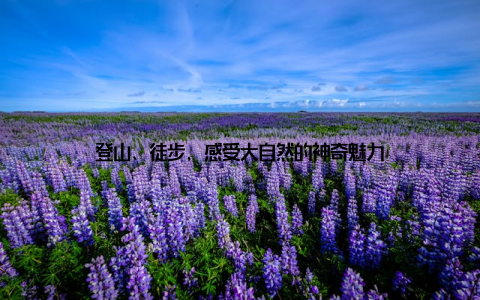 登山、徒步, 感受大自然的神奇魅力