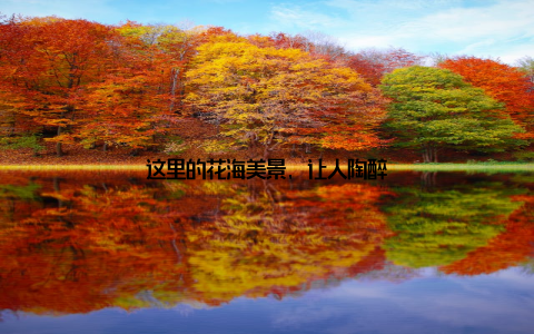 这里的花海美景, 让人陶醉