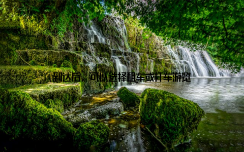 到达后, 可以选择租车或打车游览