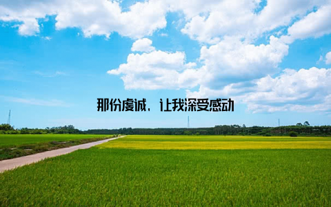 那份虔诚, 让我深受感动