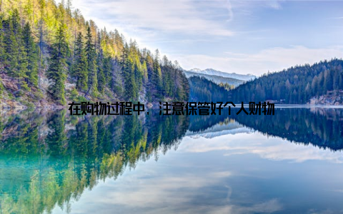 在购物过程中, 注意保管好个人财物