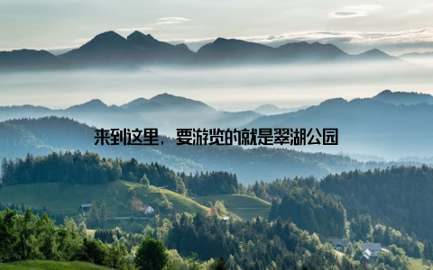 来到这里, 要游览的就是翠湖公园