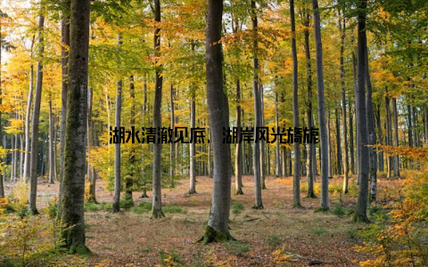 湖水清澈见底, 湖岸风光旖旎