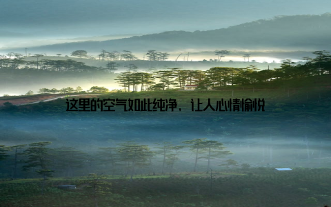 这里的空气如此纯净, 让人心情愉悦