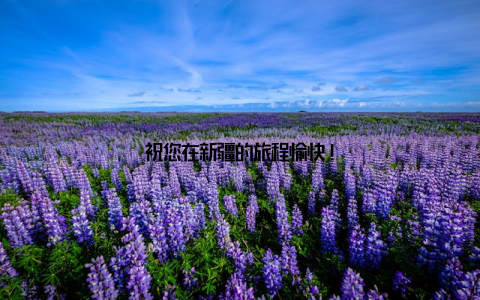 祝您在新疆的旅程愉快!