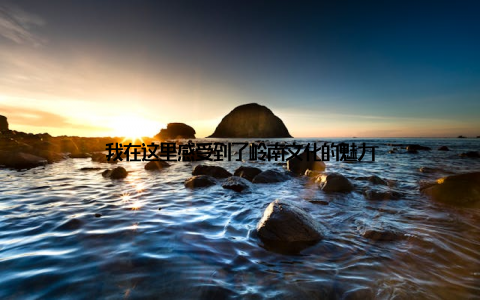 我在这里感受到了岭南文化的魅力