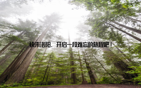 快来洛阳, 开启一段难忘的旅程吧!