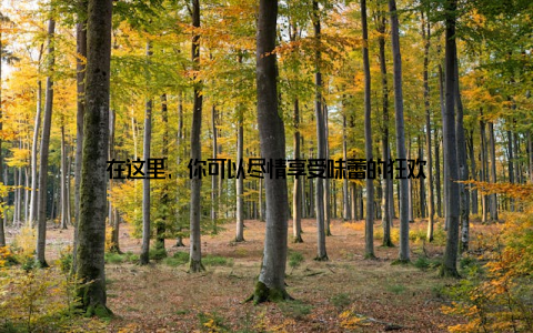 在这里, 你可以尽情享受味蕾的狂欢