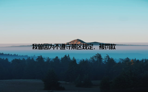 我曾因为不遵守景区规定, 被罚款