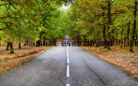 可以选择自驾、包车或参加旅行团前往