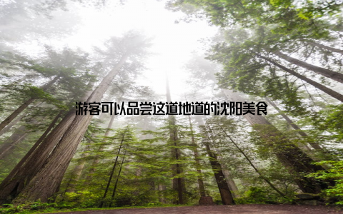 游客可以品尝这道地道的沈阳美食