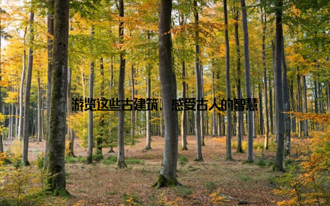 游览这些古建筑, 感受古人的智慧