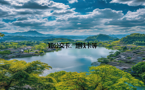 如公交卡、地铁卡等