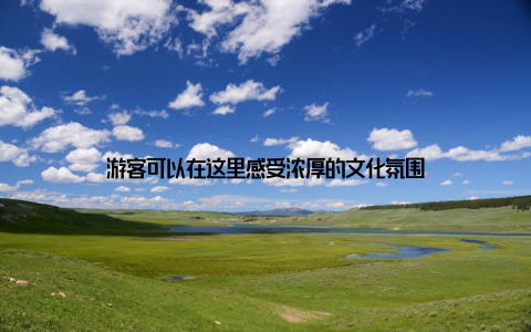 游客可以在这里感受浓厚的文化氛围