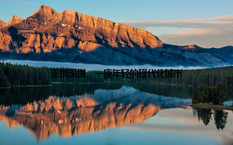 深圳深圳, 一座年轻的现代化城市