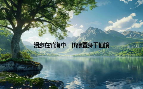 漫步在竹海中, 仿佛置身于仙境