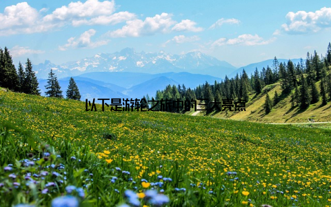 以下是游轮之旅中的三大亮点