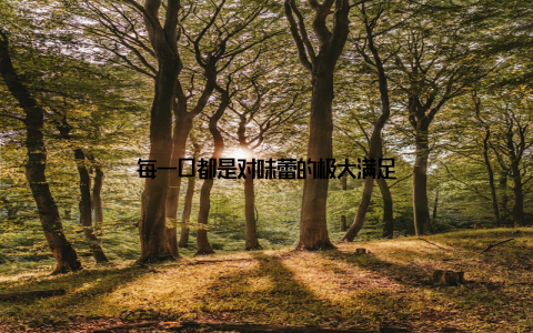 每一口都是对味蕾的极大满足