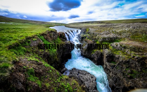 傣族烧烤香气扑鼻, 味道鲜美