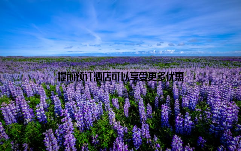 提前预订酒店可以享受更多优惠