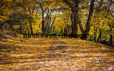 游客可以亲身感受大自然的神奇魅力