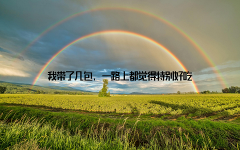 我带了几包, 一路上都觉得特别好吃