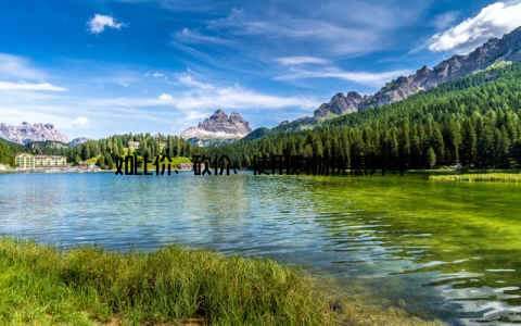 如比价、砍价、使用购物优惠券等