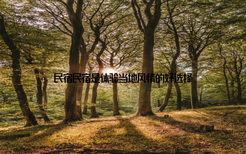 民宿民宿是体验当地风情的好选择