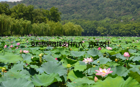 支付费用选择支付方式, 完成支付