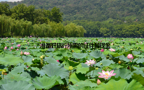 – 准备好旅行所需的证件和现金