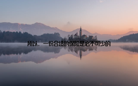 所以, 一份合适的保险是必不可少的