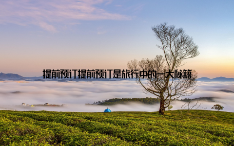 提前预订提前预订是旅行中的一大秘籍