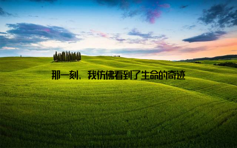 那一刻, 我仿佛看到了生命的奇迹