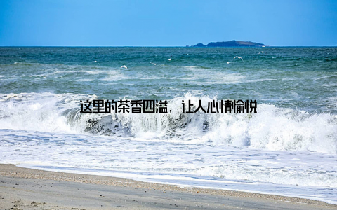 这里的茶香四溢, 让人心情愉悦