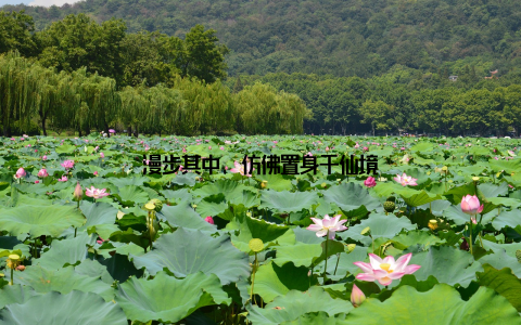 漫步其中, 仿佛置身于仙境