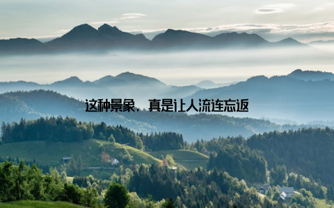 这种景象, 真是让人流连忘返