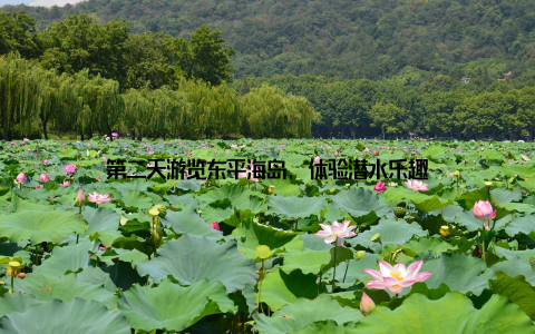 第二天游览东平海岛, 体验潜水乐趣