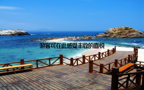 游客可在此感受丰收的喜悦